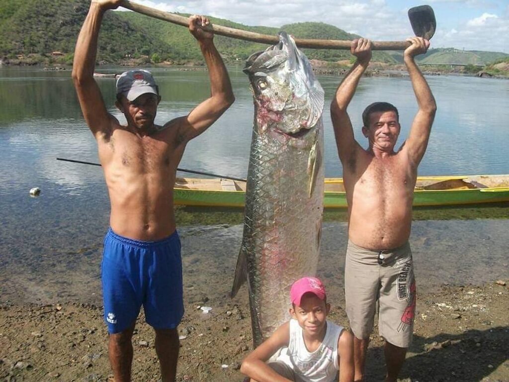 Pesca em Piranhas